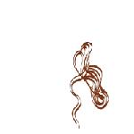 Scorces - Vivre Avec La Bete - LP (2003)